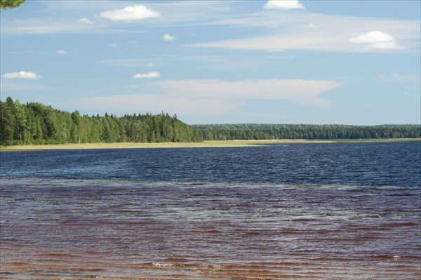 Кожозеро 258